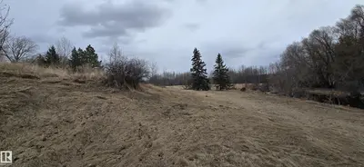 Interior photo 1 of #37 53025 HGHWAY 770