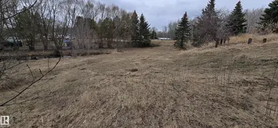 Interior photo 3 of #37 53025 HGHWAY 770