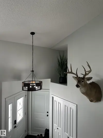 Interior photo 4 of 4926 58 ave