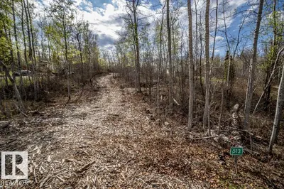 Interior photo 3 of 513, 11131 TWP Rd 600