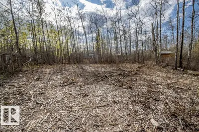 Interior photo 4 of 513, 11131 TWP Rd 600