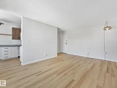 Interior photo 4 of #60 11265 31 AV NW