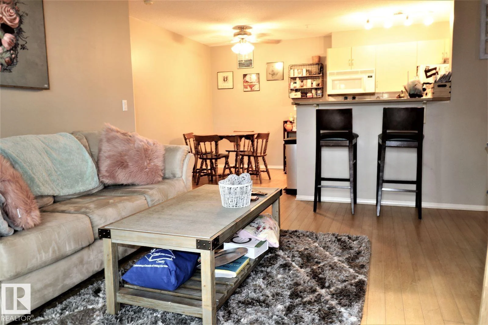 #117 17003 67 AV NW, Edmonton - 2 bedroom Apartment for sale