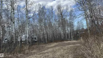 Interior photo 1 of 5519 TWP RD 550