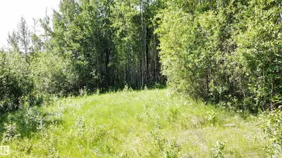 Interior photo 4 of Range Rd 163 Twp Rd 652