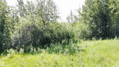Interior photo 3 of Range Rd 163 Twp Rd 652