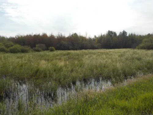 44 Street, Redwater - $850,000