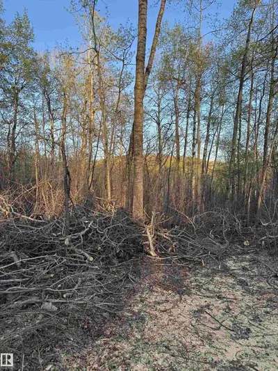 Interior photo 4 of #30 1307 TWP ROAD 540