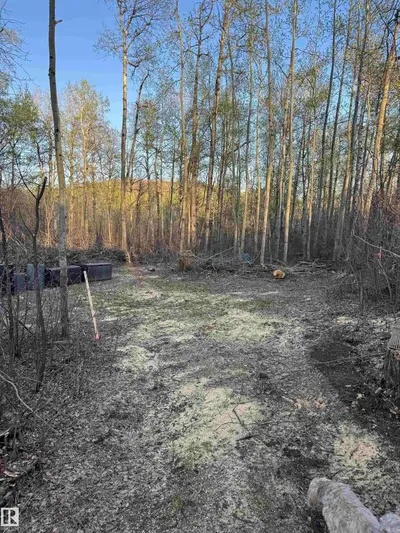 Interior photo 3 of #30 1307 TWP ROAD 540