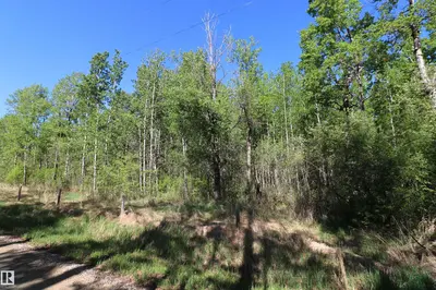Interior photo 1 of 404 54411 RGE RD 40