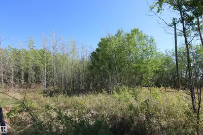 Interior photo 1 of 400 54411 RGE RD 40