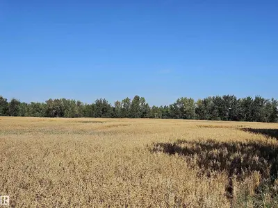 Interior photo 1 of RR 174 Township 580