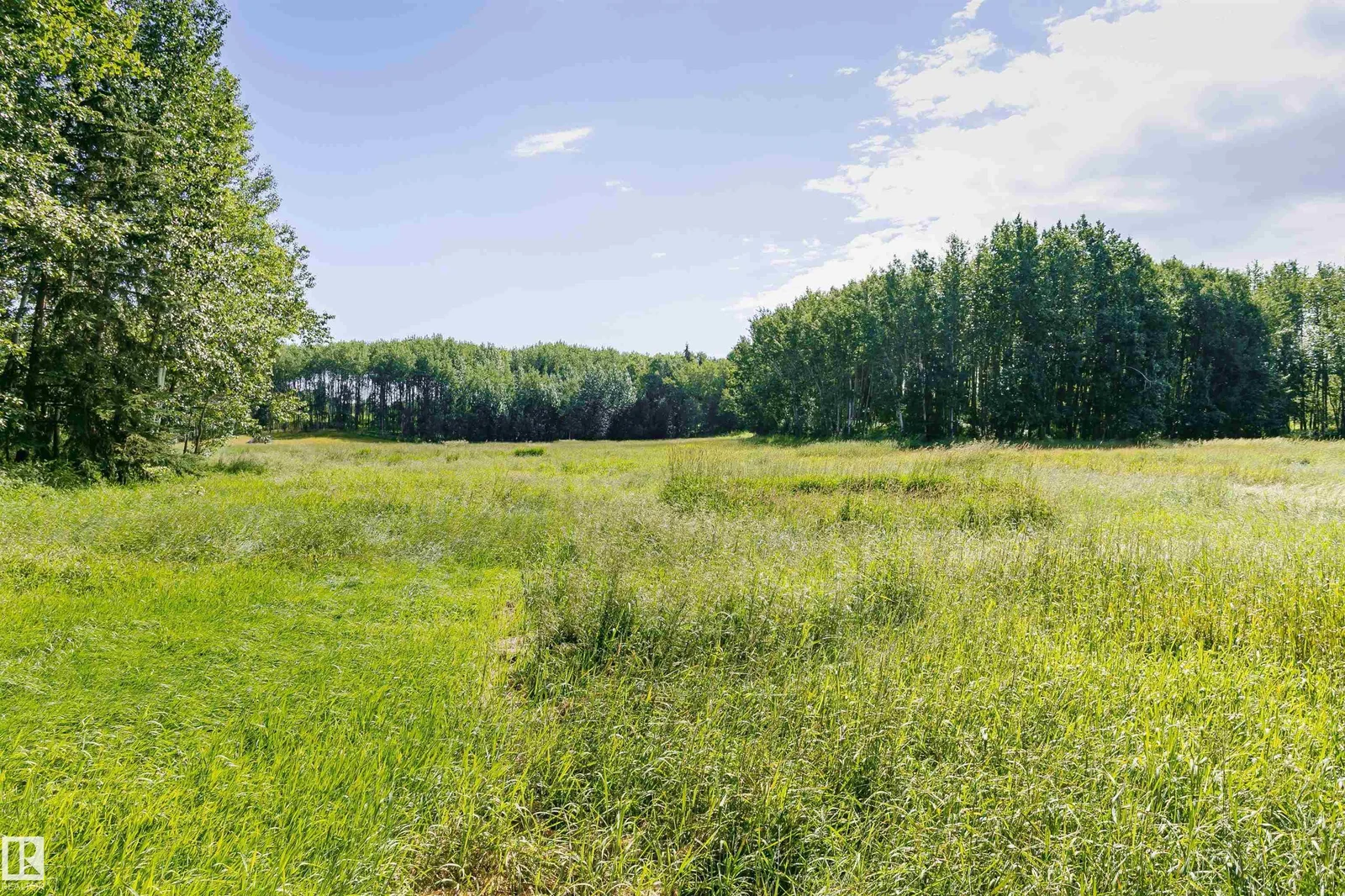 4808 50 AV, Sangudo - 0 bedroom Vacant Lot/Land for sale