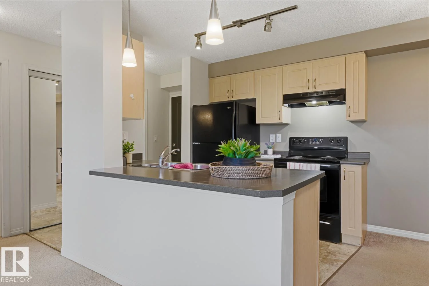 #121 13907 136 ST NW, Edmonton - 2 bedroom Apartment for sale