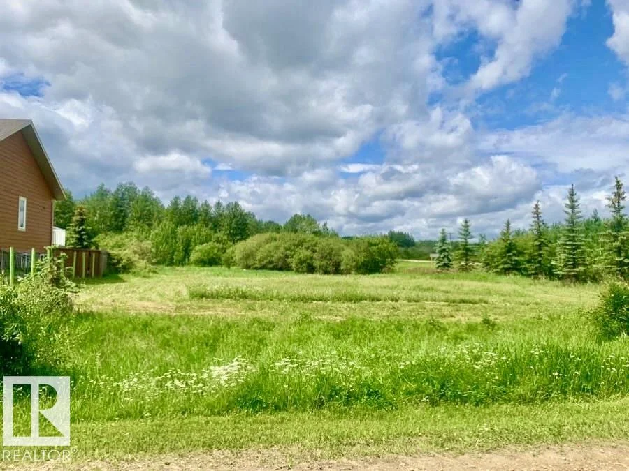 433 SWEDBERG ST, Rural Wetaskiwin County - 0 bedroom Vacant Lot/Land for sale