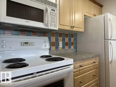 Interior photo 3 of #316 16303 95 Street NW