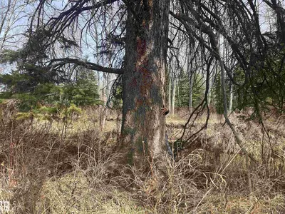 Interior photo 4 of 610075 Rge Rd 51