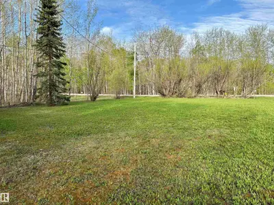 Interior photo 4 of 508 11131 TWP RD 600