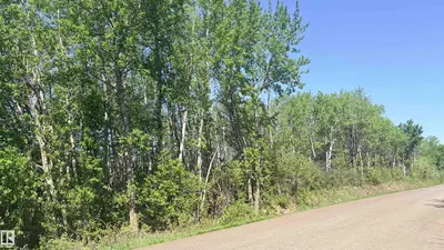 Interior photo 4 of #458 20212 TWP ROAD 510