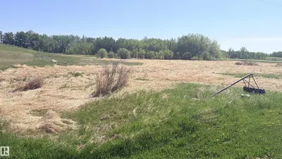 Interior photo 1 of #458 20212 TWP ROAD 510