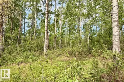 Interior photo 3 of #9 53001 RGE ROAD 53