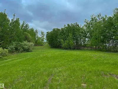 Interior photo 1 of 201 16435 Twp Rd 602