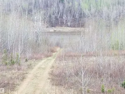 Interior photo 2 of 5 221048 TWP RD 670