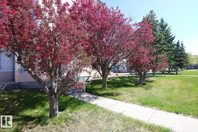 Interior photo 1 of #308 17150 94A AV NW