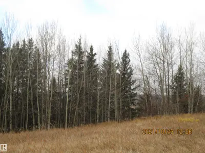 Interior photo 1 of 13530 Township Road 550