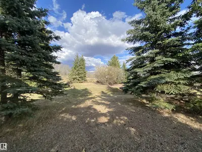 Interior photo 3 of 52318 RGE ROAD 213