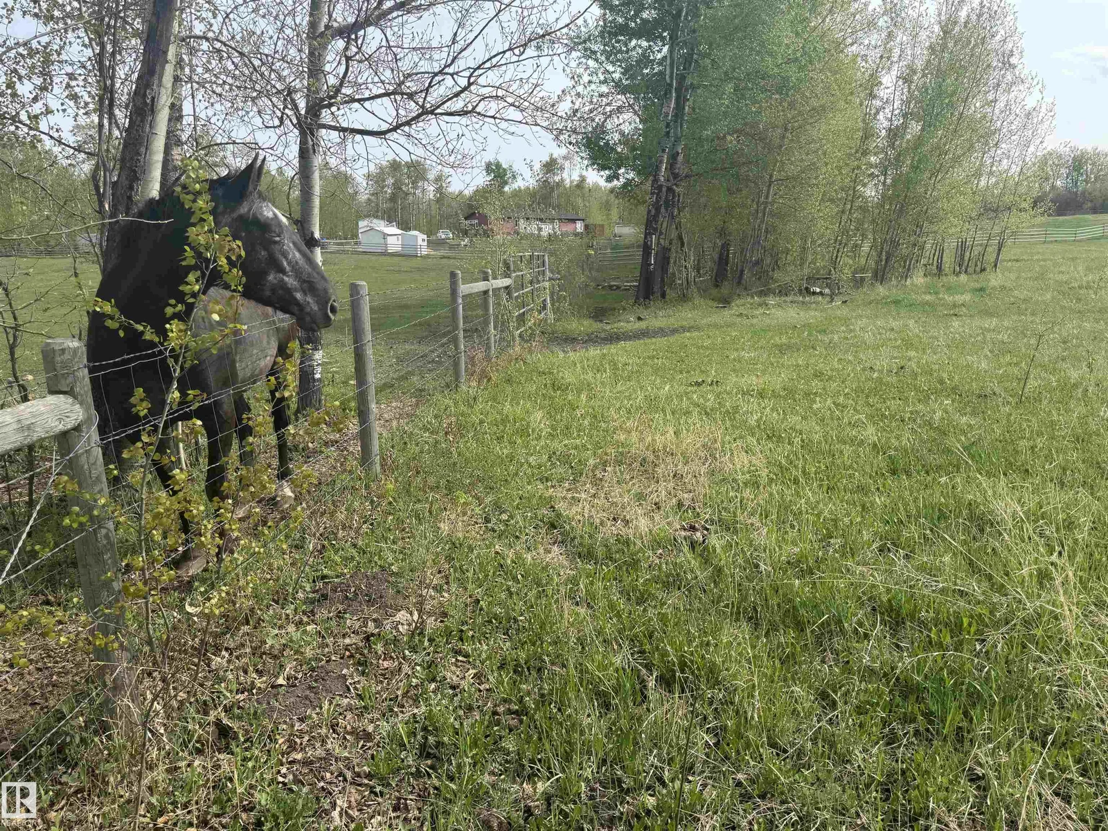 281029 Hwy 616, Rural Wetaskiwin County - 0 bedroom Vacant Lot/Land for sale
