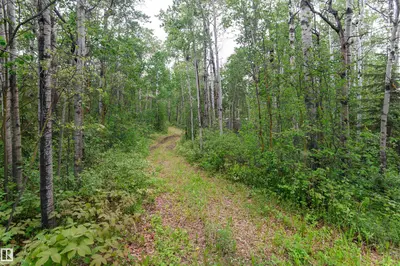 Interior photo 4 of 52 59318 Rge Rd 454