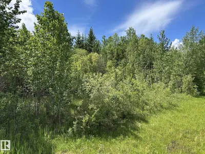 Interior photo 2 of #26 59027 Rge Rd 232