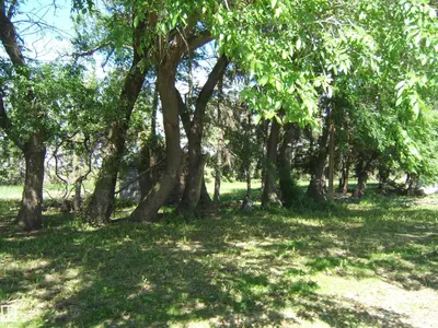 Interior photo 2 of 163026 TWP RD 574