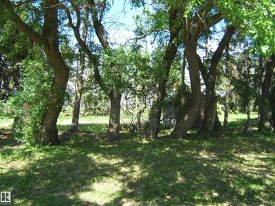 Interior photo 3 of 163026 TWP RD 574