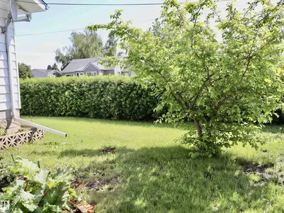 Interior photo 2 of 5530 46 street