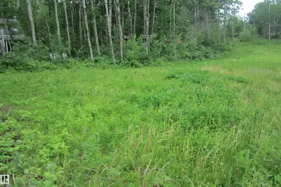 Interior photo 3 of 220 11502 Twp Rd 604 S