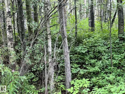Interior photo 2 of 2130 2001 Twp Rd 474