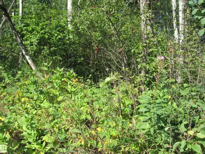 Interior photo 2 of 59316 Rge Rd 54 - Lot 61