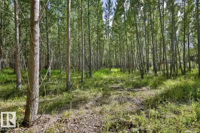 Interior photo 1 of RGE RD 24 TWP RD 562