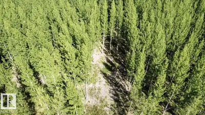 Interior photo 4 of RGE RD 24 TWP RD 562