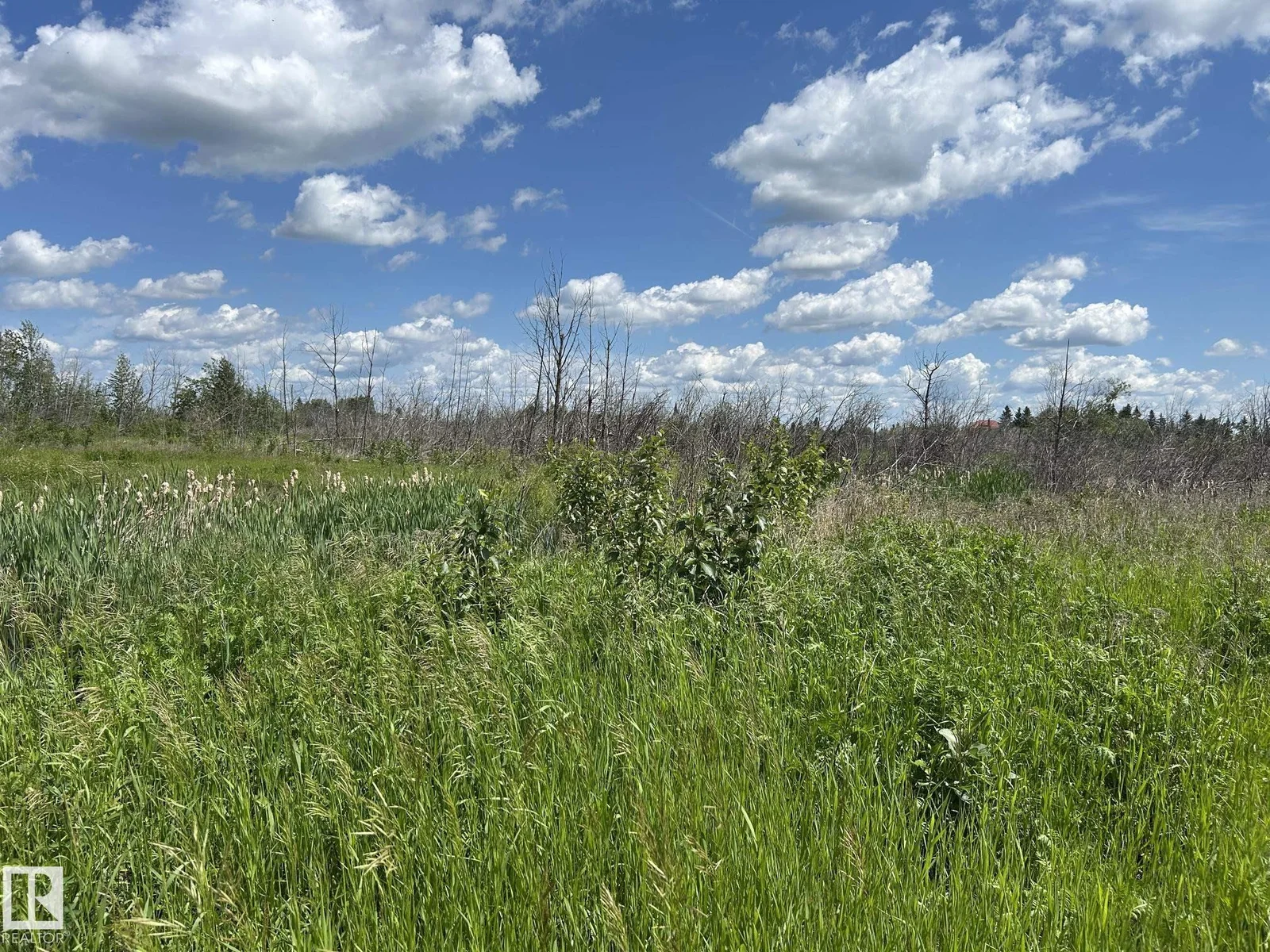 RR 205 Hwy 28, Rural Thorhild County - 0 bedroom Vacant Lot/Land for sale