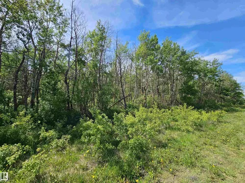 Twp Rd 580 Range Road 95, Rural St. Paul County - $119,700