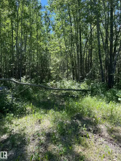 Interior photo 2 of #26 54104 Rge Rd 35
