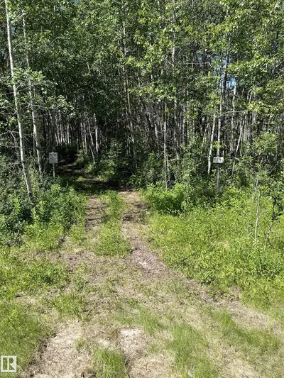 Interior photo 1 of #39 53407 RGE ROAD 30