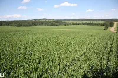 Interior photo 1 of RR202 TWP583