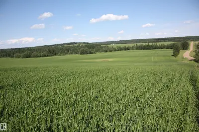 Interior photo 4 of RR202 TWP583