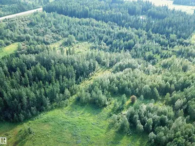 Interior photo 4 of TWP Road 534 Range Road 175
