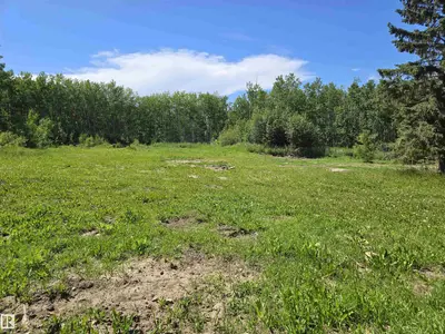 Interior photo 1 of 54516 RGE ROAD 41