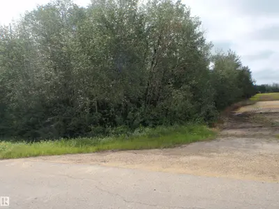 Interior photo 2 of HWY 654 & Range Rd 32A